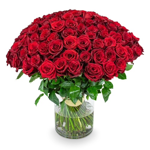 Kytice rudých růží